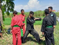 Perkuat Kaderisasi, Pagar Nusa Mojokerto Gelar Ujian Kenaikan Tingkat
