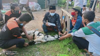 Komandan CBP KPP Mojokerto Meriahkan Penyembelihan Qurban di PCNU Kab. Mojokerto