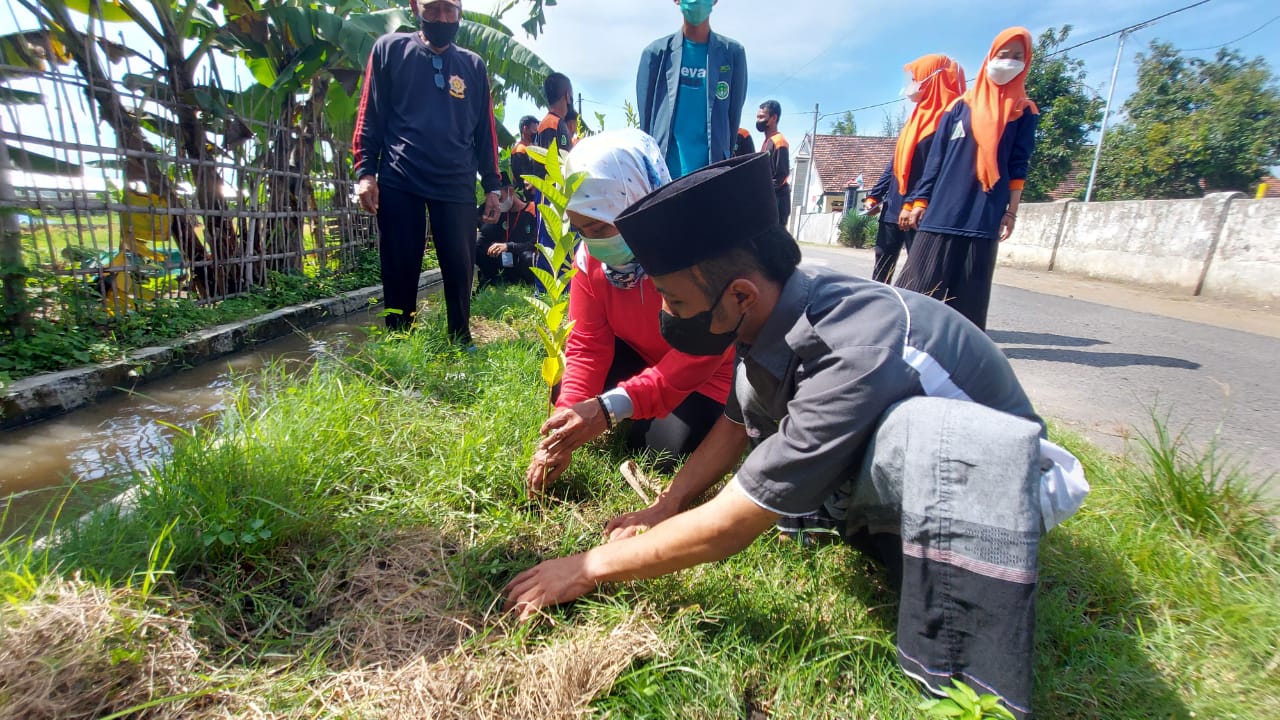 Usai Diklatama, IPNU IPPNU Kemlagi Cintai Alam di SD Watesprojo dengan Penanaman Ratusan Bibit Pohon