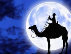 Milenial Cerdas, Berburu Malam Lailatul Qadar