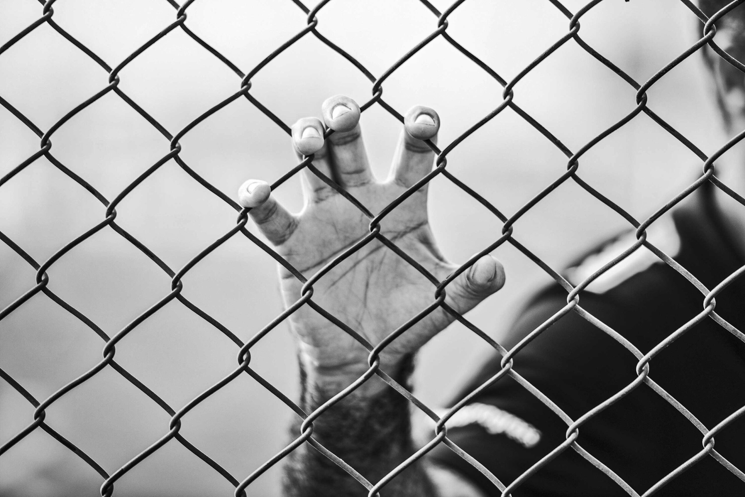 Foto oleh Milad Fakurian di Unsplash